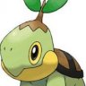 Turtwig