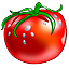 tomato.png