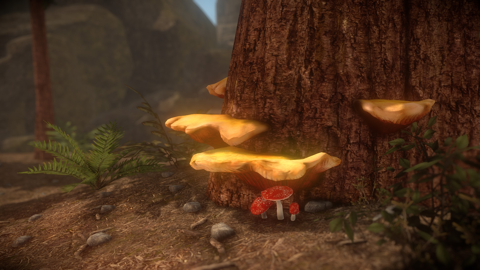 mushrooms.jpg