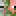 16px-ZombiePigmanFace.png