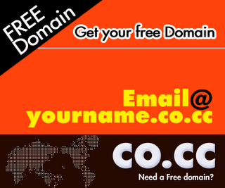 domain+.co.cc.png