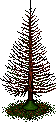 tree_4.gif