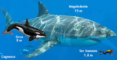 megalodonte+e+orca.jpg