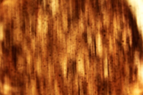 BB_AbstractVerticalStreaks_05.jpg