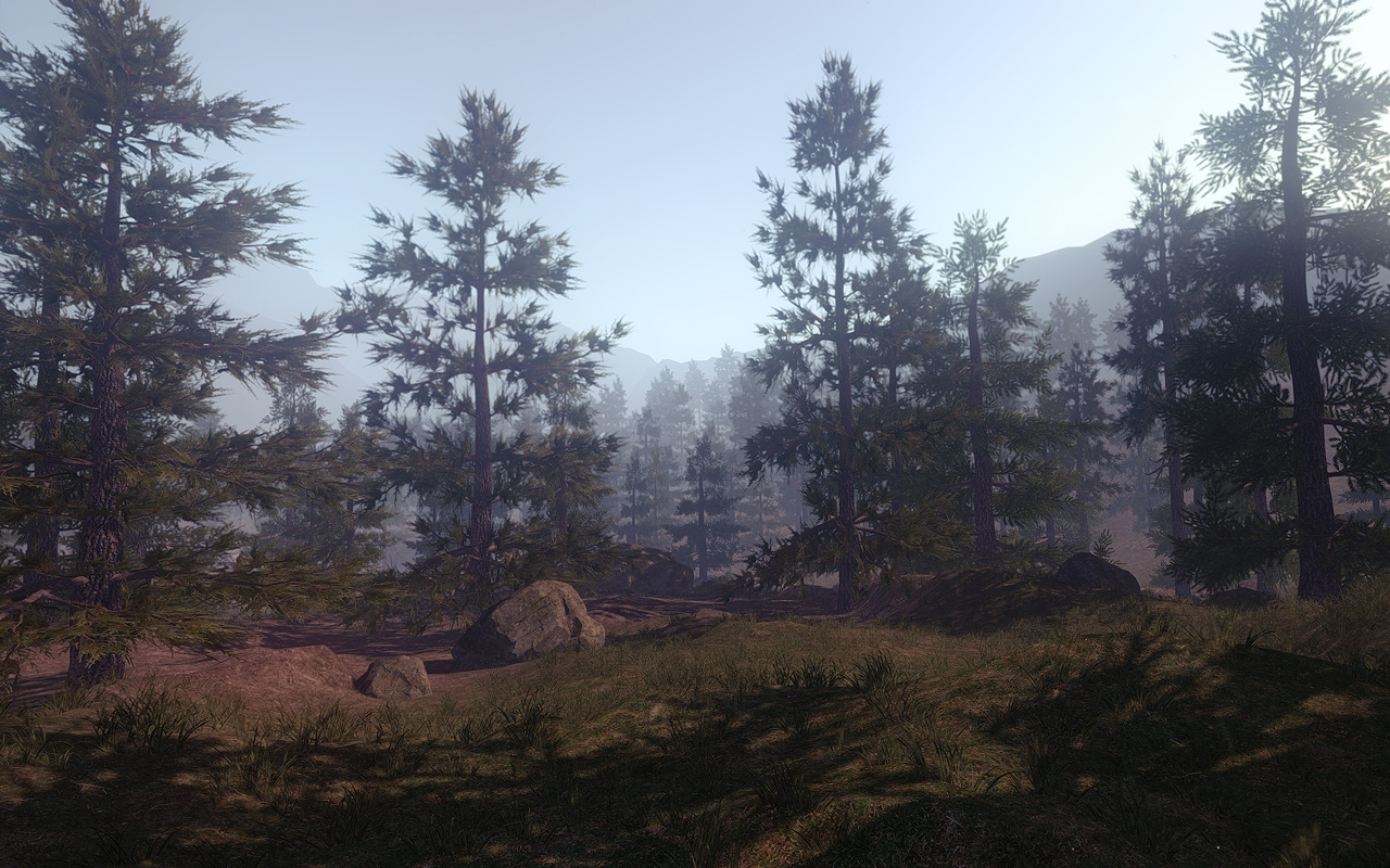 forest3.jpg