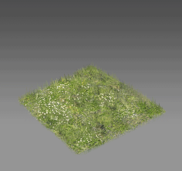 foundation_build_anim.gif