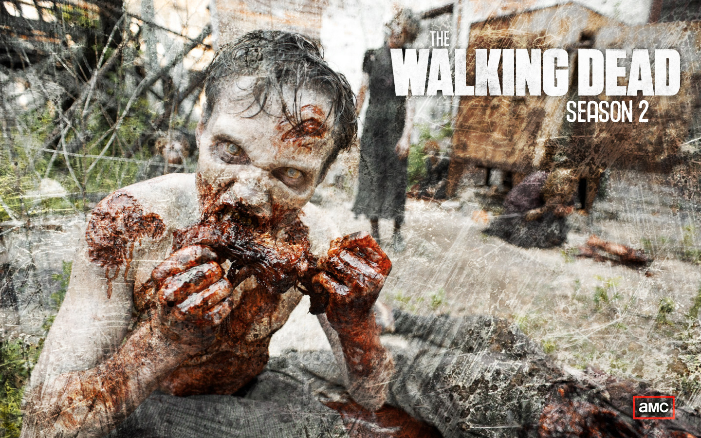 the_walking_dead_wallpaper-season-2-zombie31.jpg