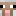 Sheep.png