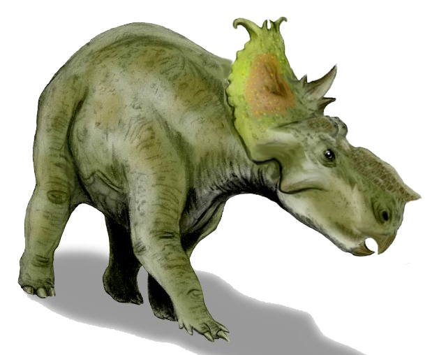 Pachyrhinosaurus_BW.jpg