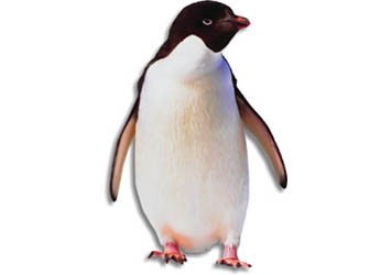 pinguino.jpg